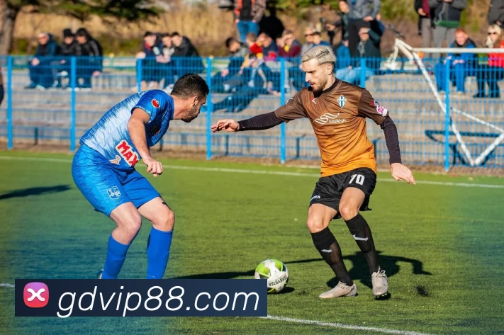 高德娱乐官网平台生态图