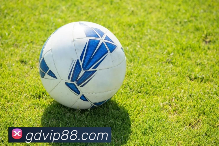 高德娱乐官网APP 封面图